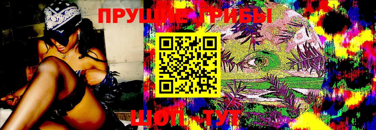 Псилоцибиновые грибы MAGIC MUSHROOMS Воткинск